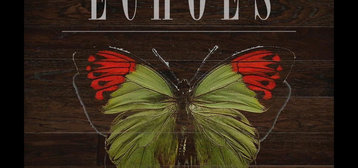 Echoes Album Cover