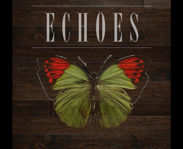 Echoes Album Cover