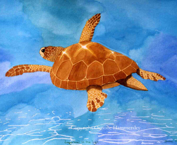 turtle-copyright-oenone-hammersley