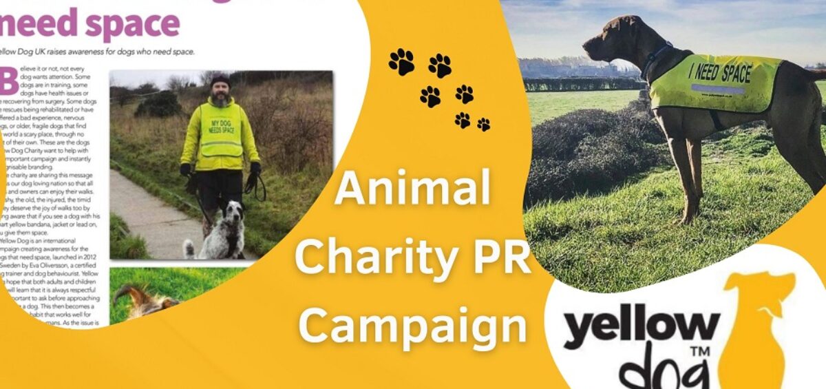 Animal Charity PR
